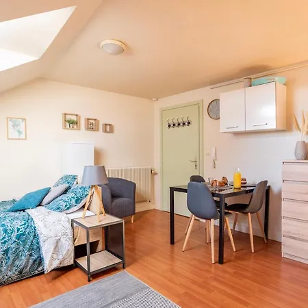 Delight - Golden Tree - Wifi - 20 Min St-Croix & Center Parcs Apartment Sarrebourg Exterior photo