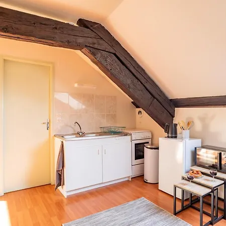 Delight - Golden Tree - Wifi - 20 Min St-Croix & Center Parcs Apartment Sarrebourg Exterior photo