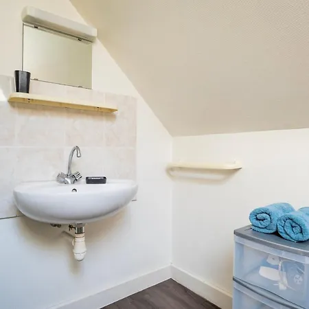 Delight - Golden Tree - Wifi - 20 Min St-Croix & Center Parcs Apartment Sarrebourg Exterior photo